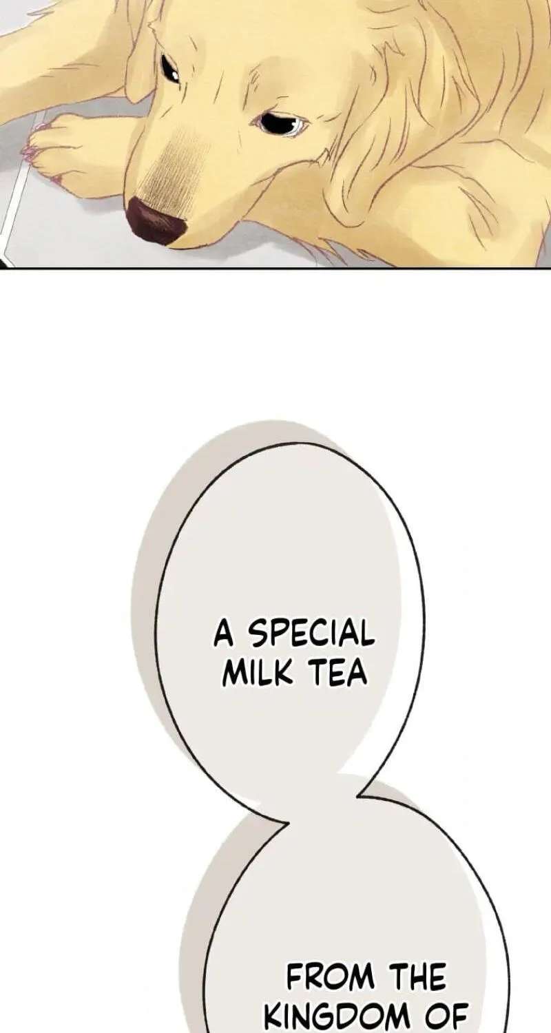 The Fake Queen Learns What Love Is Chapter 27 - page 83