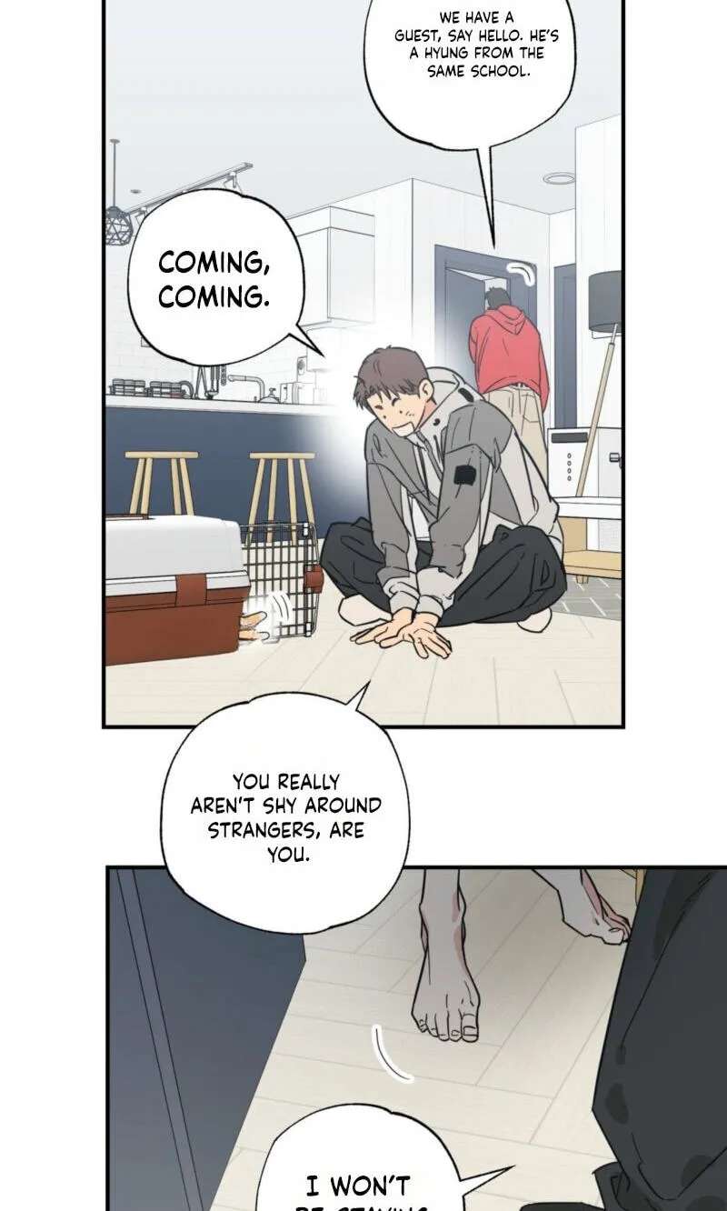 Cat Choice Chapter 29 - page 63