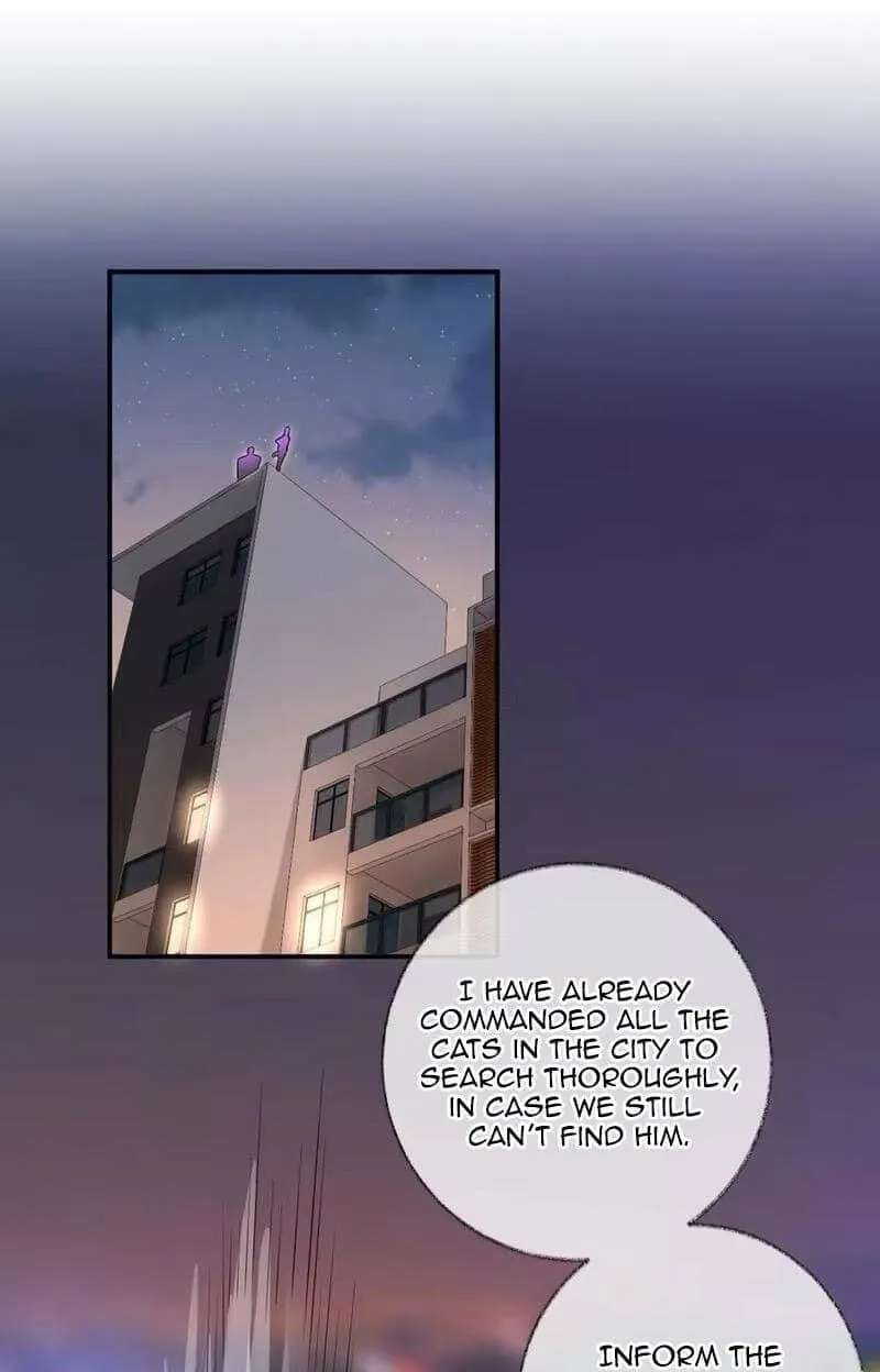 A Cat Has Nine Lives Chapter 46 - page 30