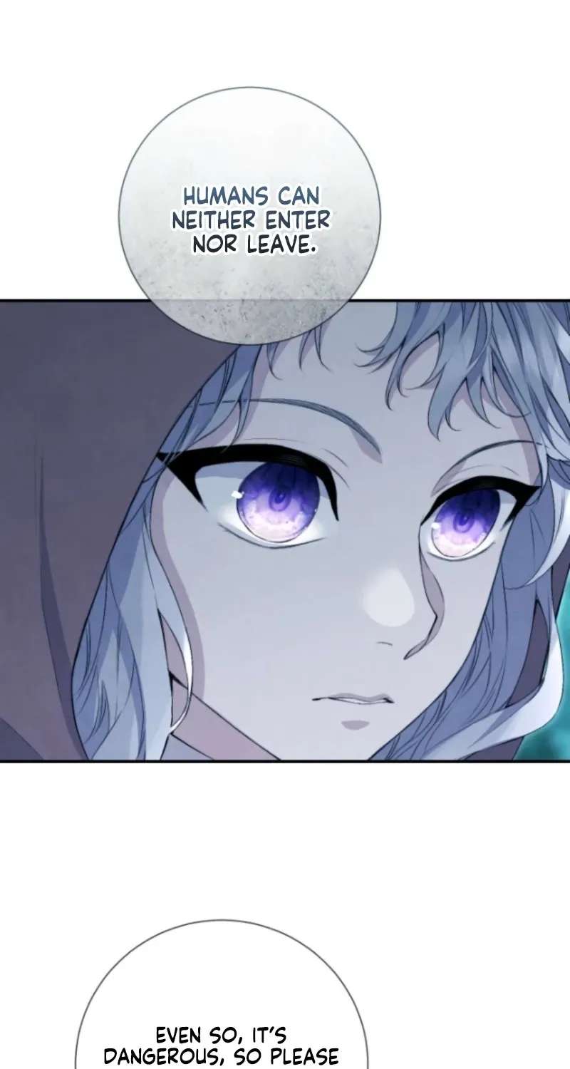 Don’t look for the resurrected Villainess Chapter 44 - page 12