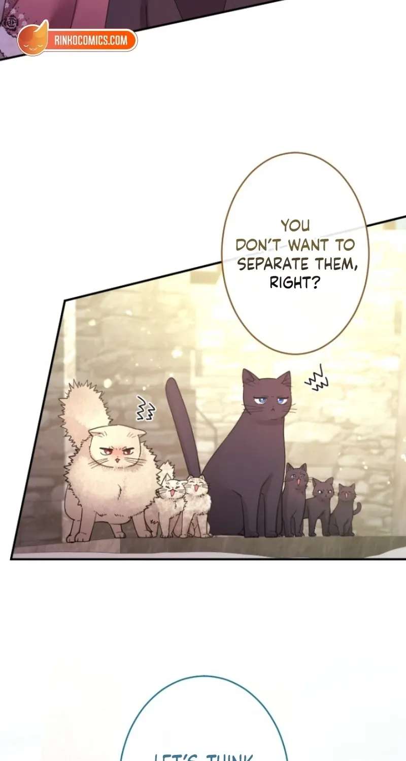 The Beloved Incompetent Stepmom Chapter 153 - page 46
