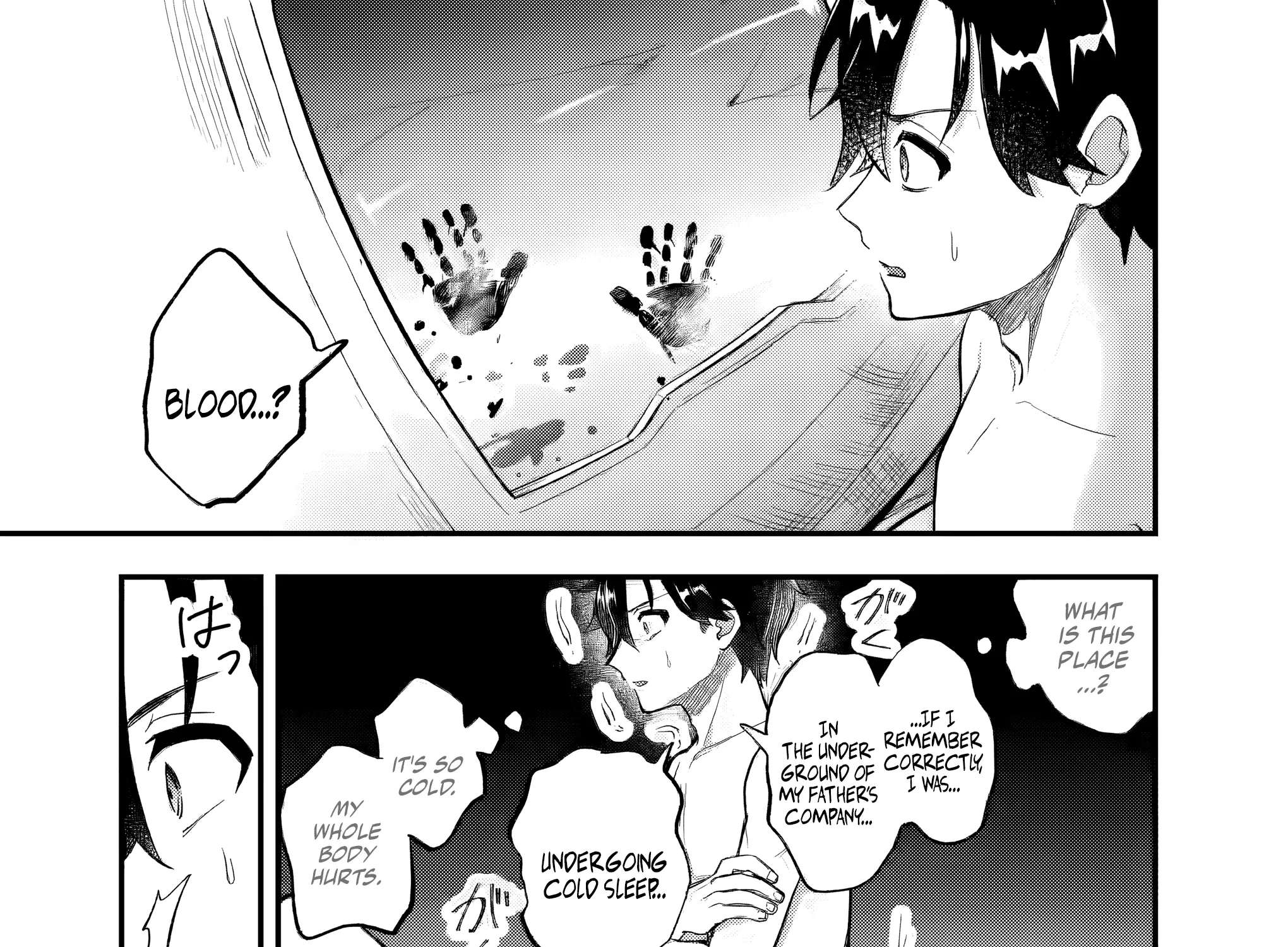 Reincarnation in a False World Chapter 1.2 - page 12