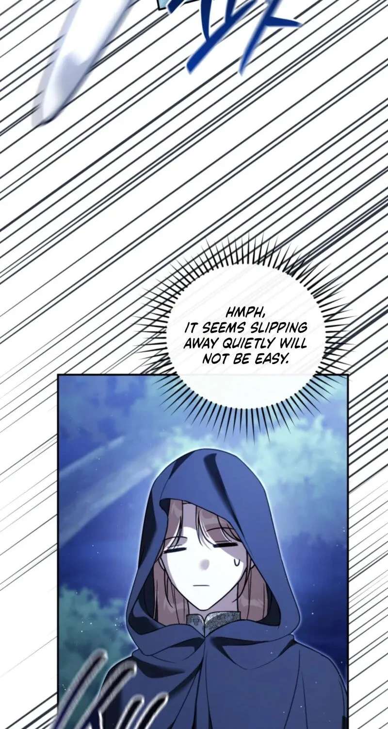 Even if I Hide My Power, the Noble Lady Is the Strongest Chapter 47 - page 16