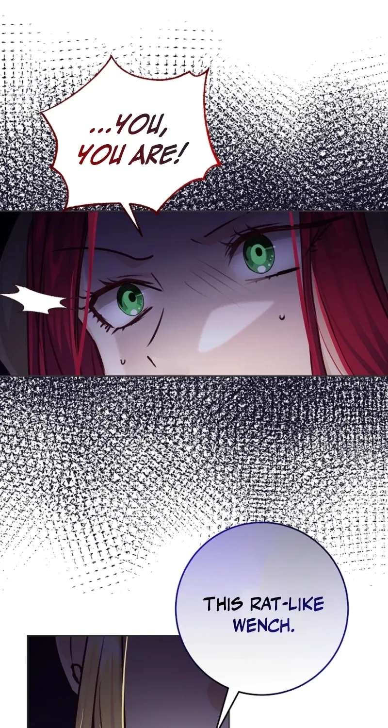 Husband Replacement Chapter 76 - page 67