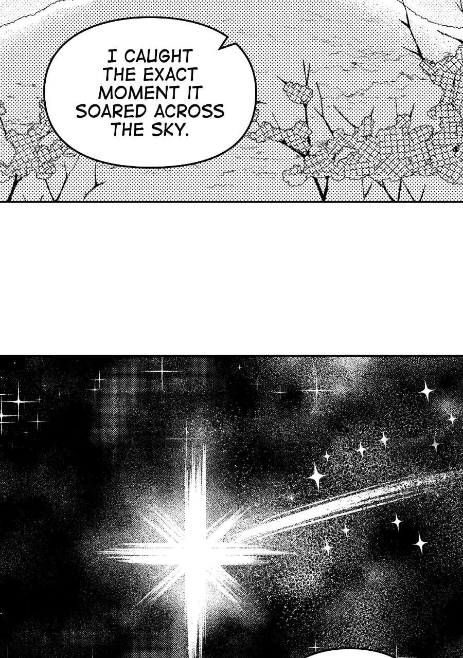 Wings of Starlight Chapter 29 - page 17