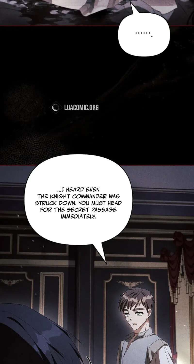 Regarding the Perfect Revenge Chapter 29 - page 13