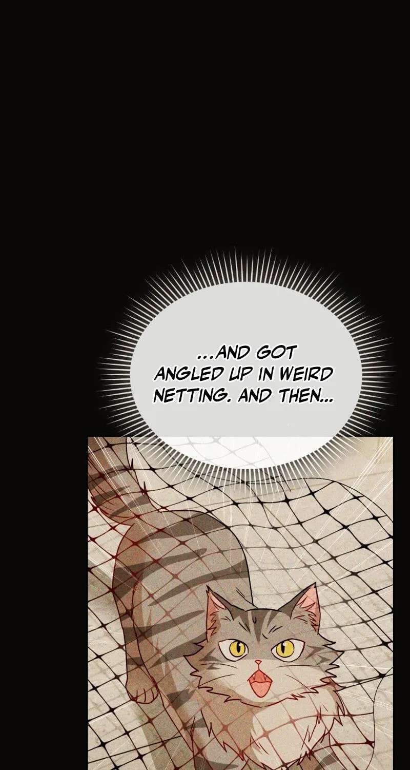 Hello, Mr. Veterinarian! Chapter 146 - page 7
