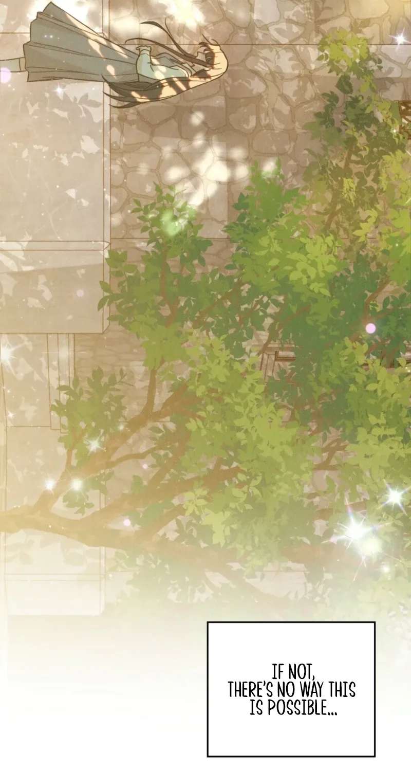 The Butterfly That Swallowed the Mist Chapter 41 - page 5
