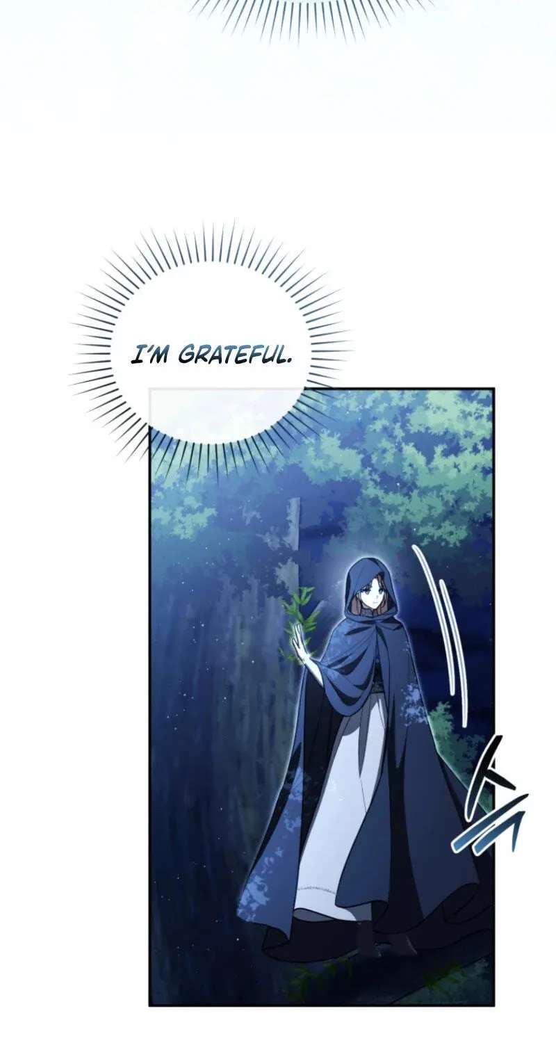Even if I Hide My Power, the Noble Lady Is the Strongest Chapter 46 - page 85
