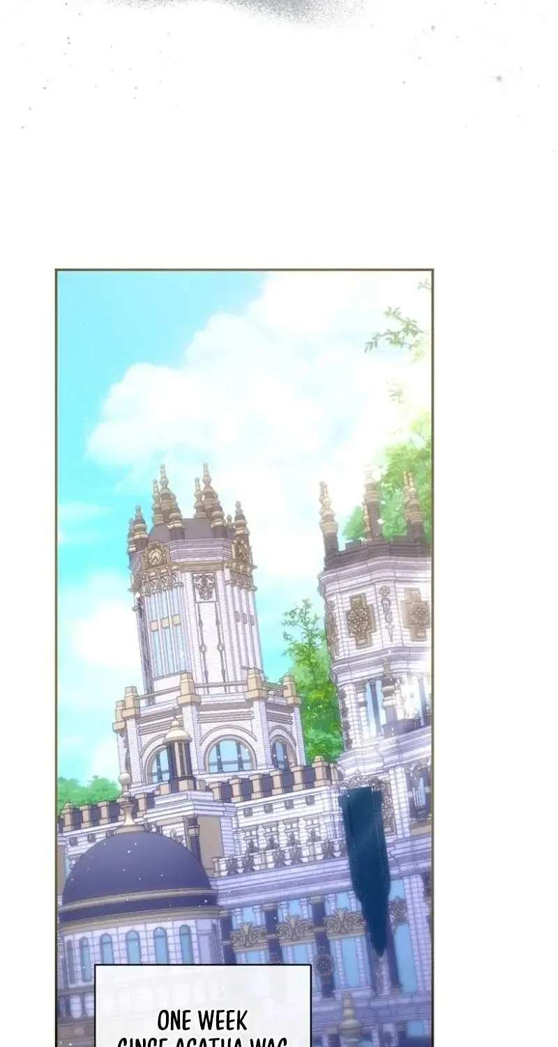 Seven Marriages Are Planned Chapter 53 - page 72
