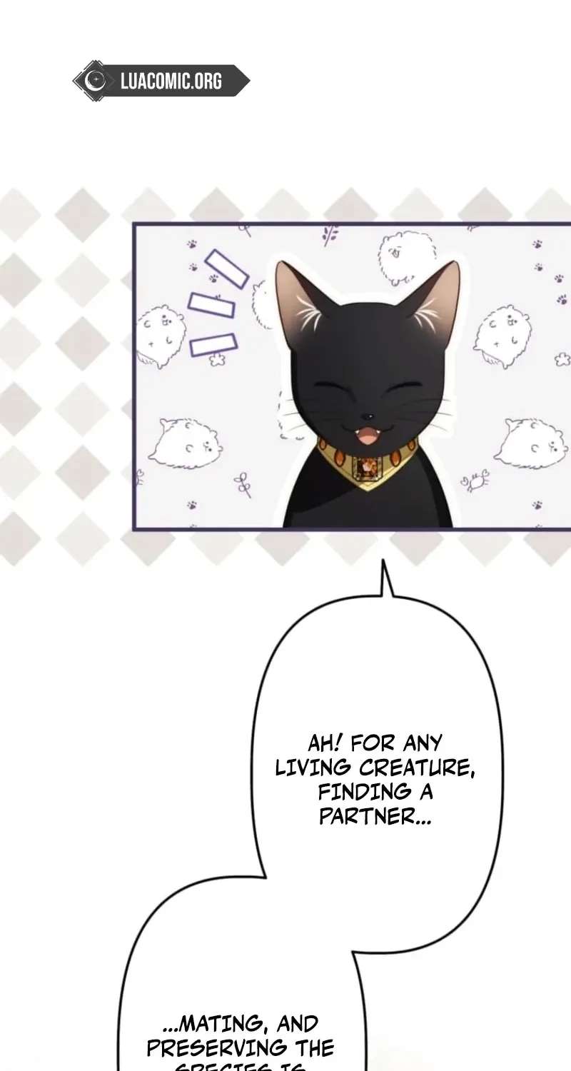 I Was a Black Mage Who Was Condemned, but Now I'm Being Loved After Going Back in Time?! Chapter 21 - page 62