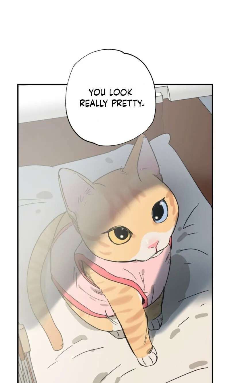 Cat Choice Chapter 29 - page 65