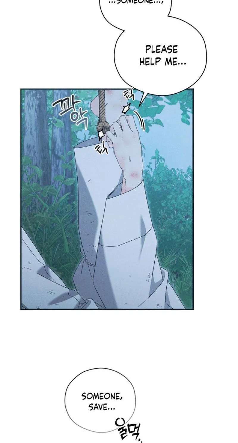The Meaning of the White Pine Chapter 35 - page 24