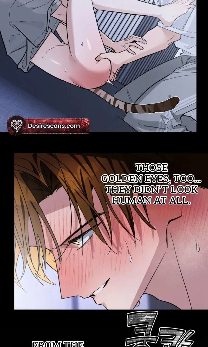 Give Birth to a Baby Wildcat for Me, Unless You Want to See Me Go Insane! Chapter 38 - page 25