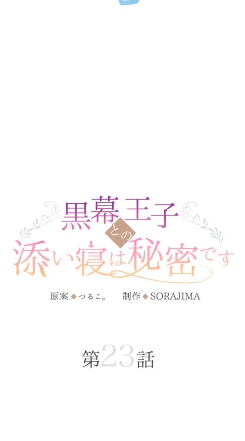 Kuromaku Ouji to no Soine wa Himitsu desu Chapter 23 - page 27