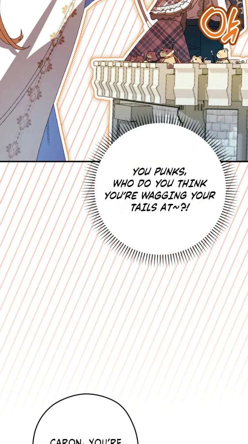 Cinderella's Pocket-Sized Protector Chapter 61 - page 17