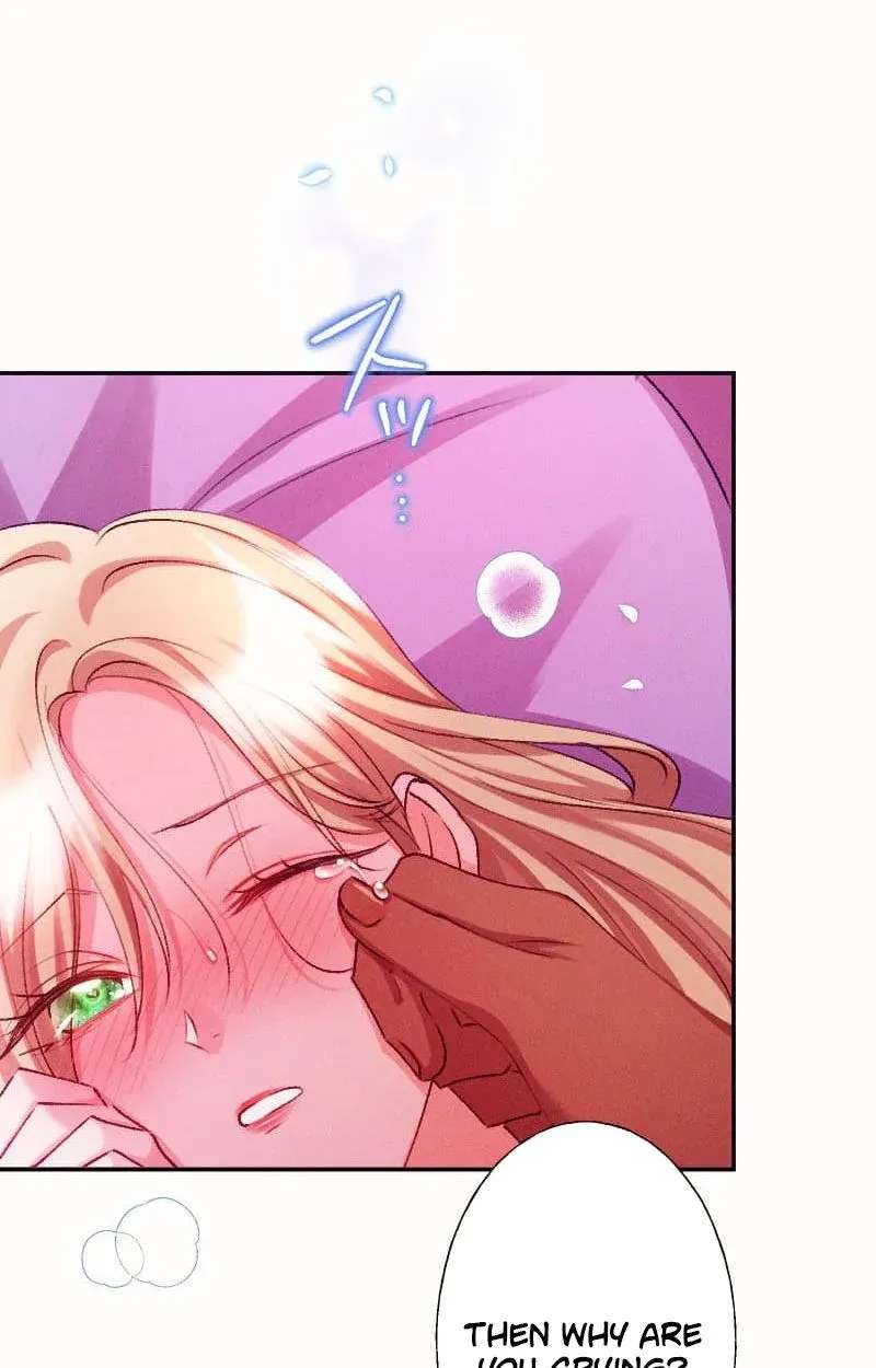 The Princess Abducted to a Land Without Women Chapter 12 - page 65