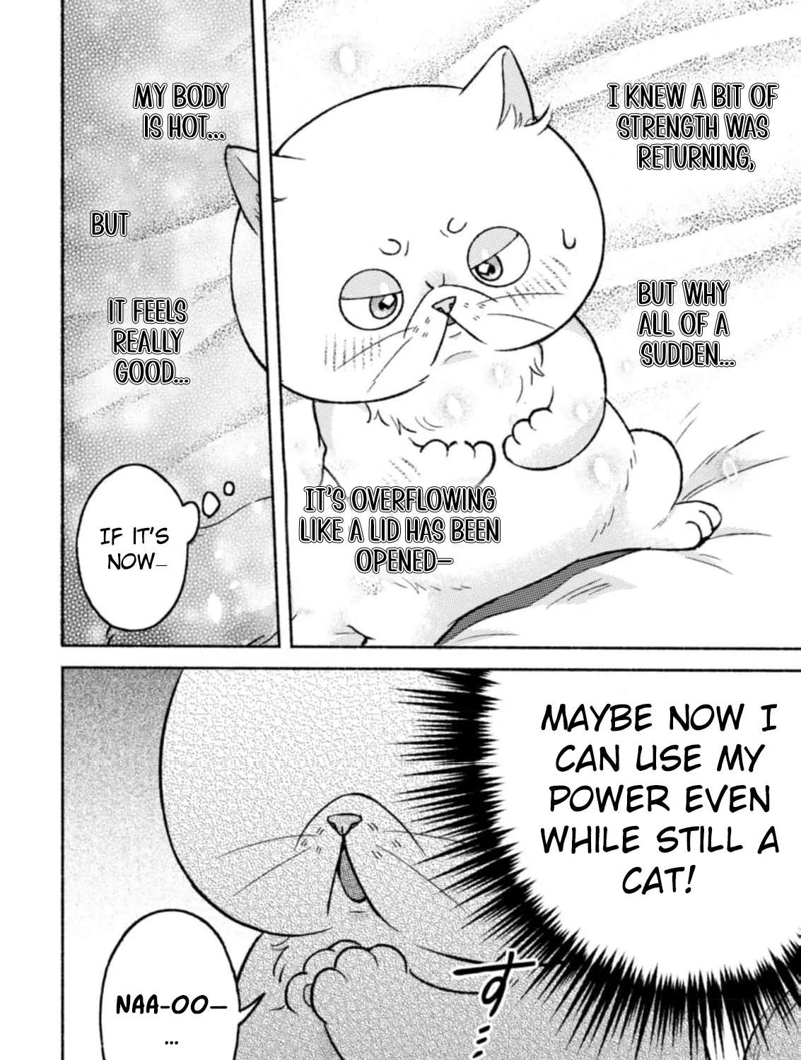 Nekura Kishi ni Yoru Dekiai Mankitsu-chuu nu Busa Neko, Jitsu wa Seijo desu! Chapter 4 - page 37