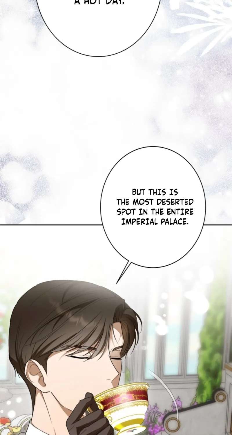 The Timid Lady of the Frontier Won't Give Up on Revenge Chapter 19 - page 4