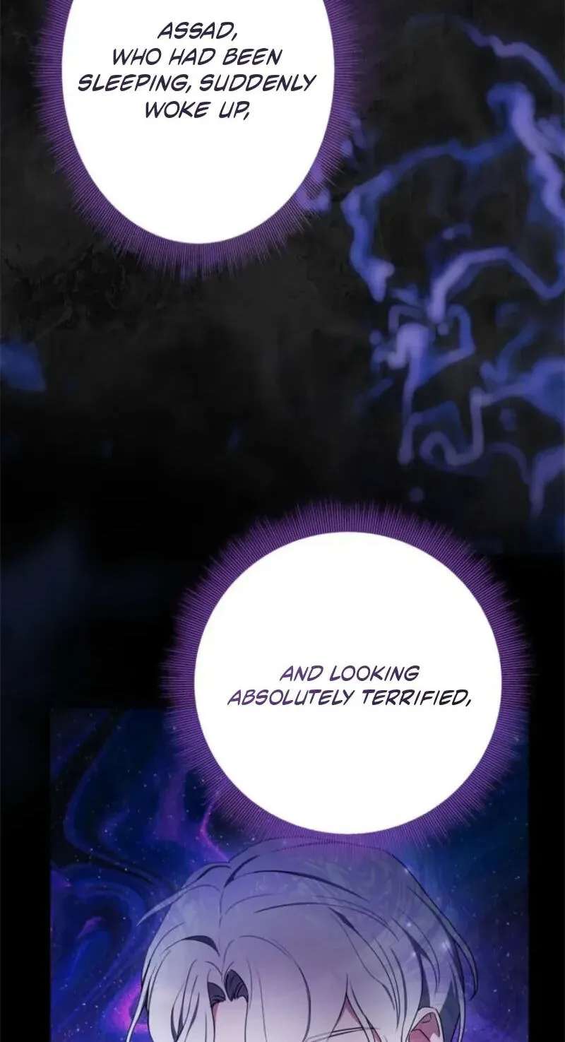 The Count's Beloved Contract Young Lady Chapter 48 - page 66