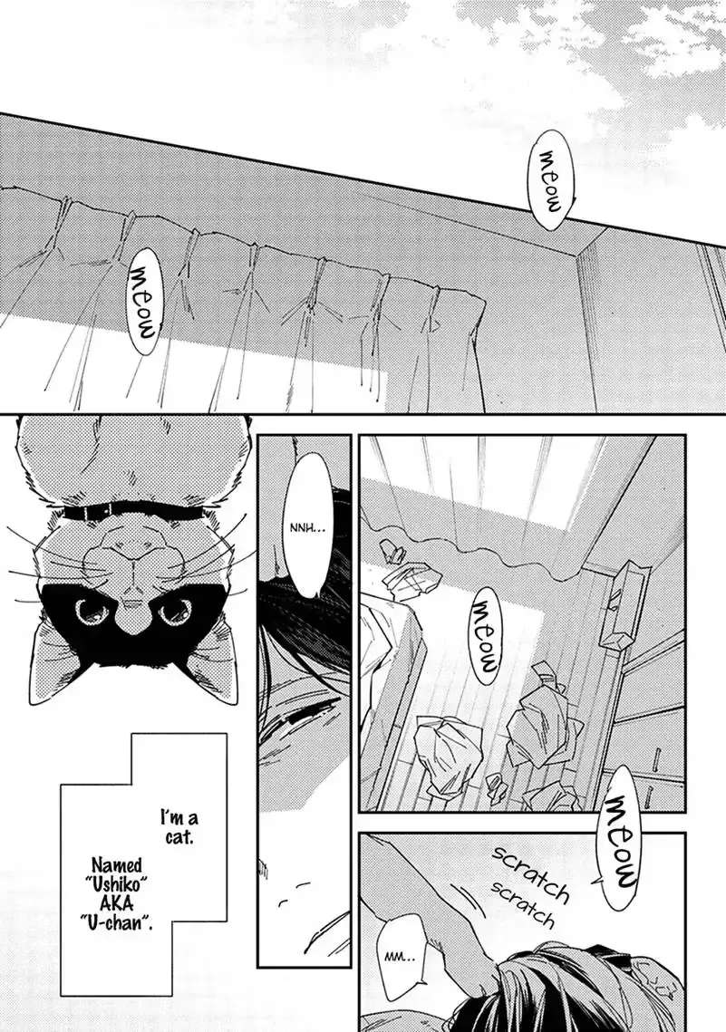 Meiga no You ni Koi wo Chapter 3 - page 2