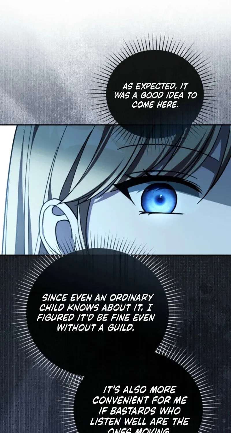 Even if I Hide My Power, the Noble Lady Is the Strongest Chapter 46 - page 35
