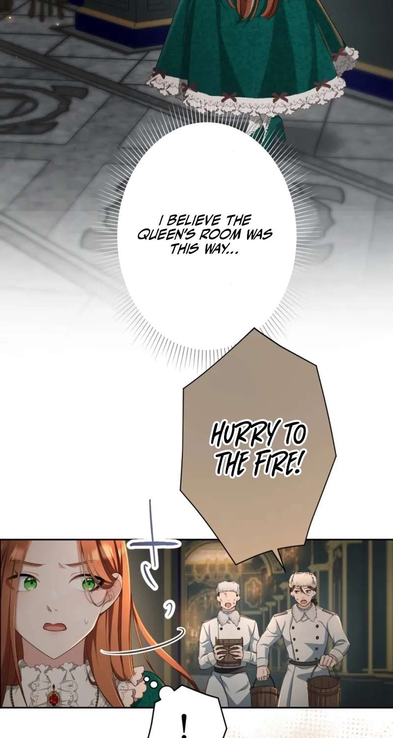The Unhappy Poison Witch's Happy Marriage Chapter 20 - page 25