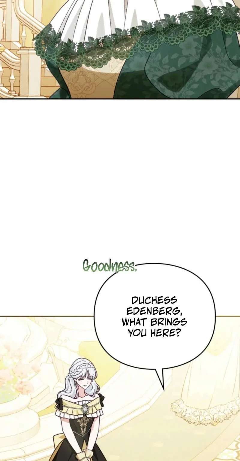 The Search for the Duchess's Husband Chapter 37 - page 27