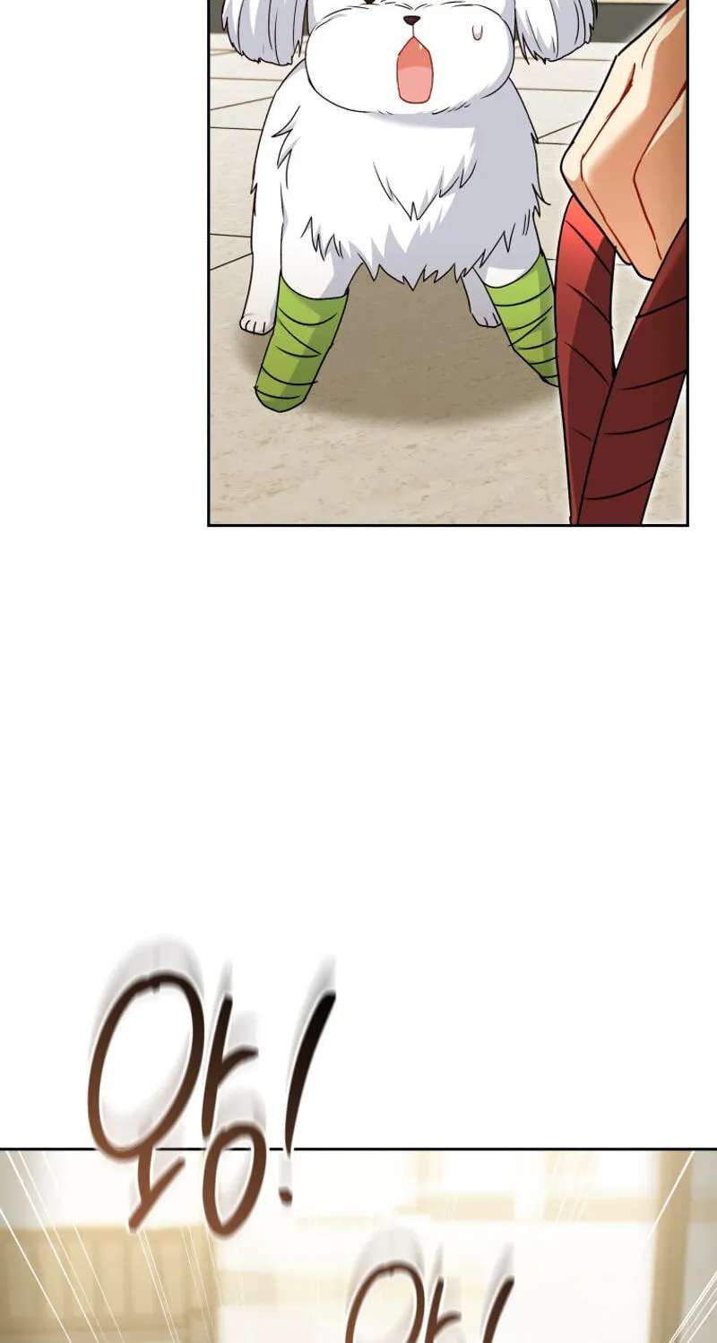 Hello, Mr. Veterinarian! Chapter 145 - page 48