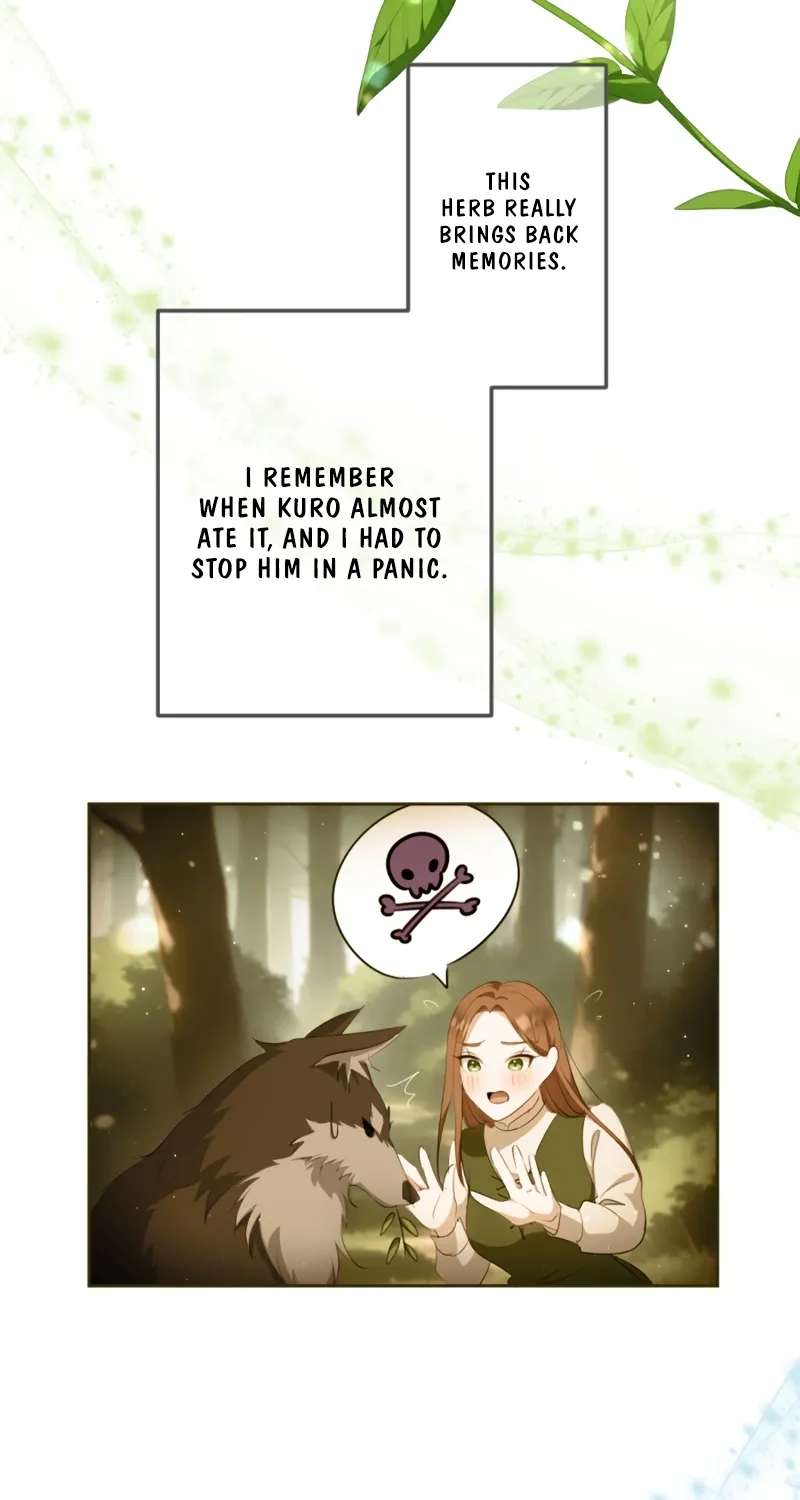 The Unhappy Poison Witch's Happy Marriage Chapter 14 - page 29