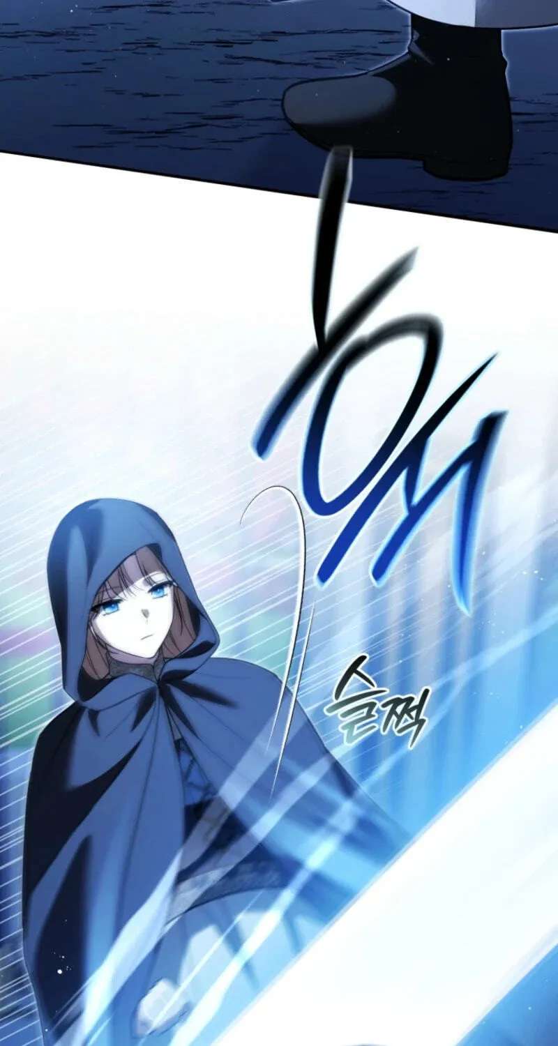 Even if I Hide My Power, the Noble Lady Is the Strongest Chapter 47 - page 21