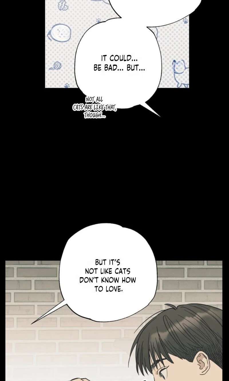 Cat Choice Chapter 28 - page 18