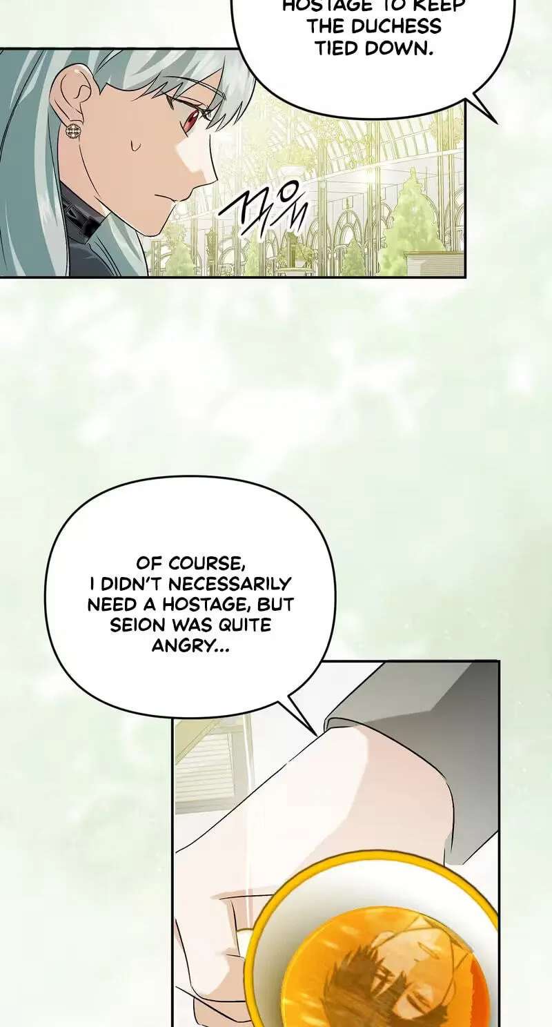 I Reincarnated as the Princess of a Country That Is Going to Destroyed by Male Protagonist Chapter 29 - page 9