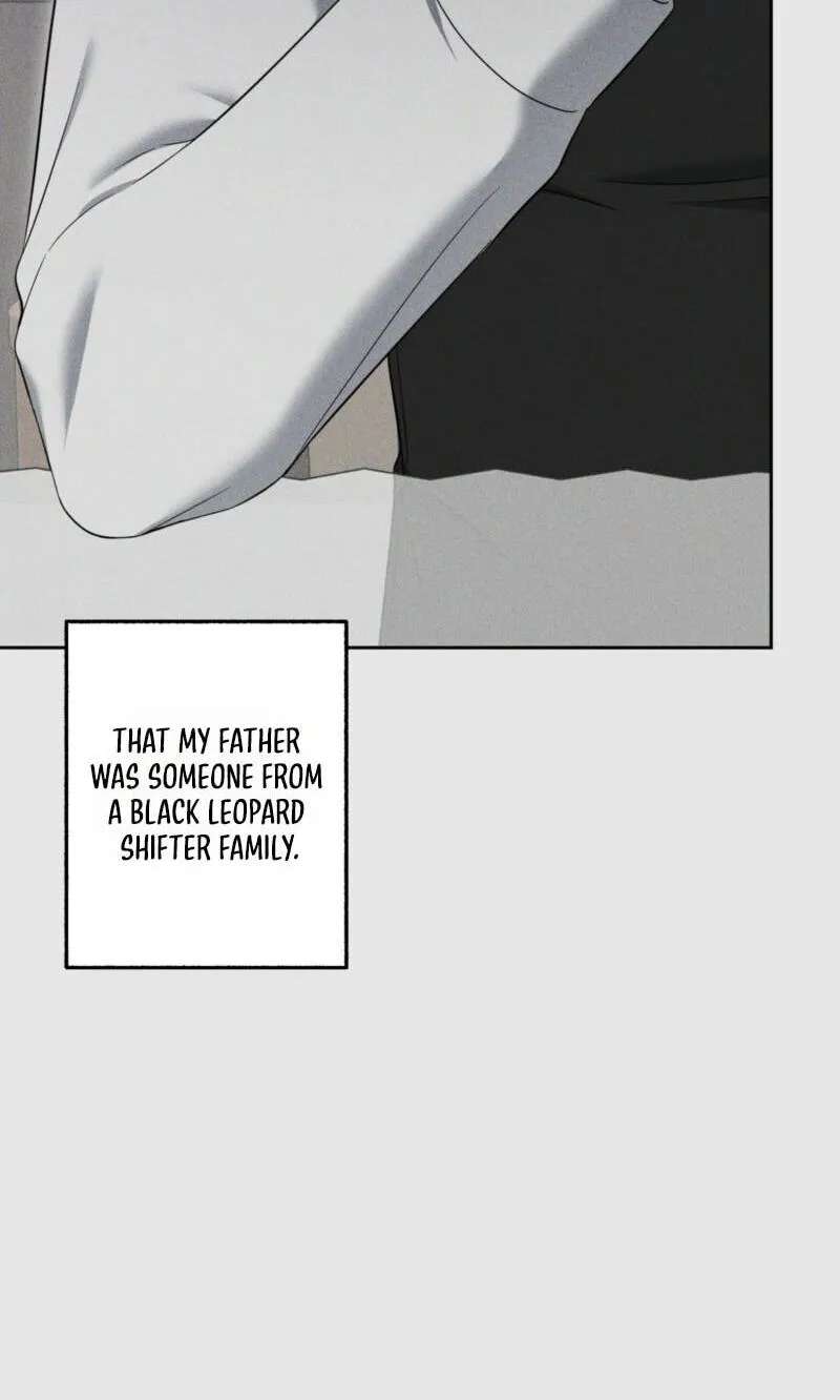 The Purrfect Match Chapter 44 - page 27