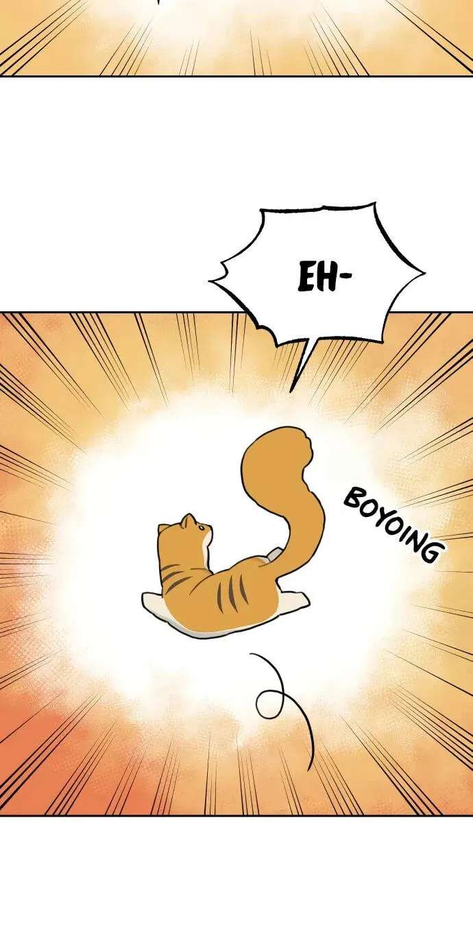 Tiger Coming In Chapter 147 - page 53