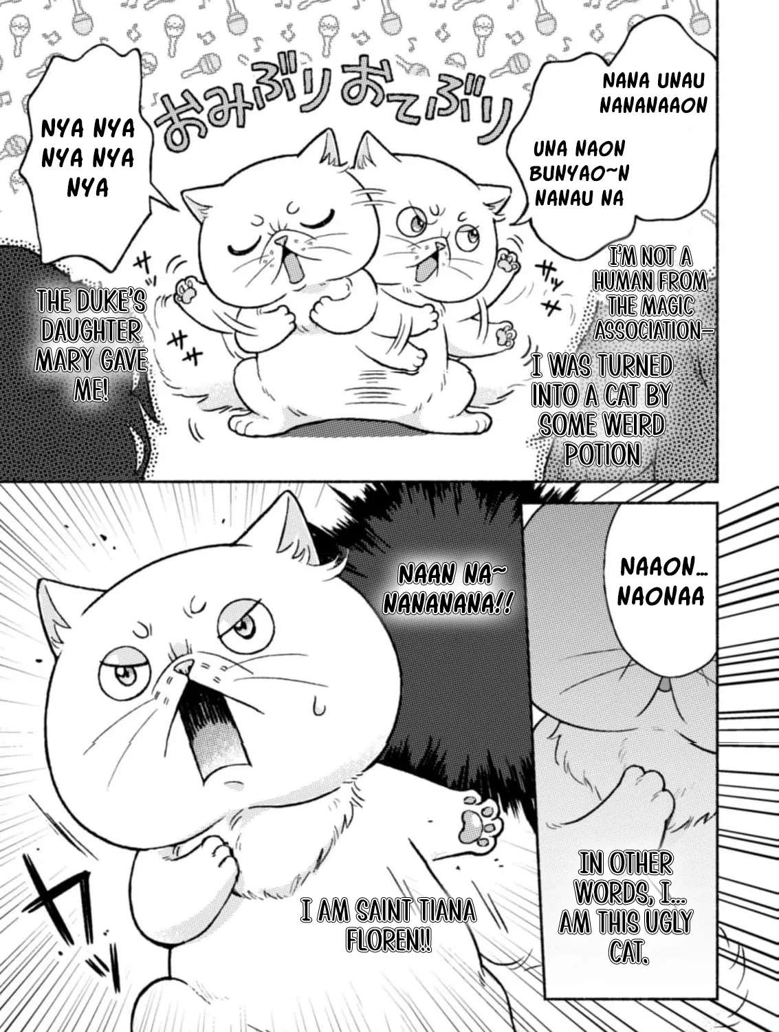 Nekura Kishi ni Yoru Dekiai Mankitsu-chuu nu Busa Neko, Jitsu wa Seijo desu! Chapter 4 - page 17