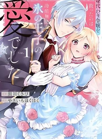Migawari Reijou wo Sukutta no wa Reikoku Mujihi na Koori no Ouji no Ai deshita