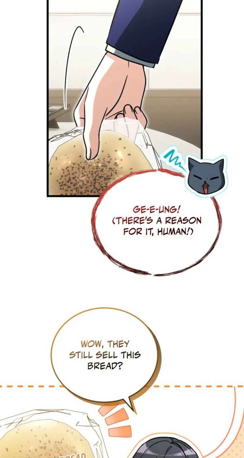 Even Today, the Ranker Dreams of Retirement Chapter 62 - page 40