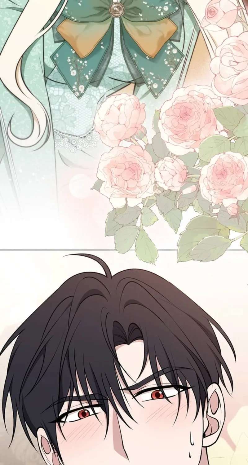 The Enemy King's Substitute Bride Chapter 46 - page 28