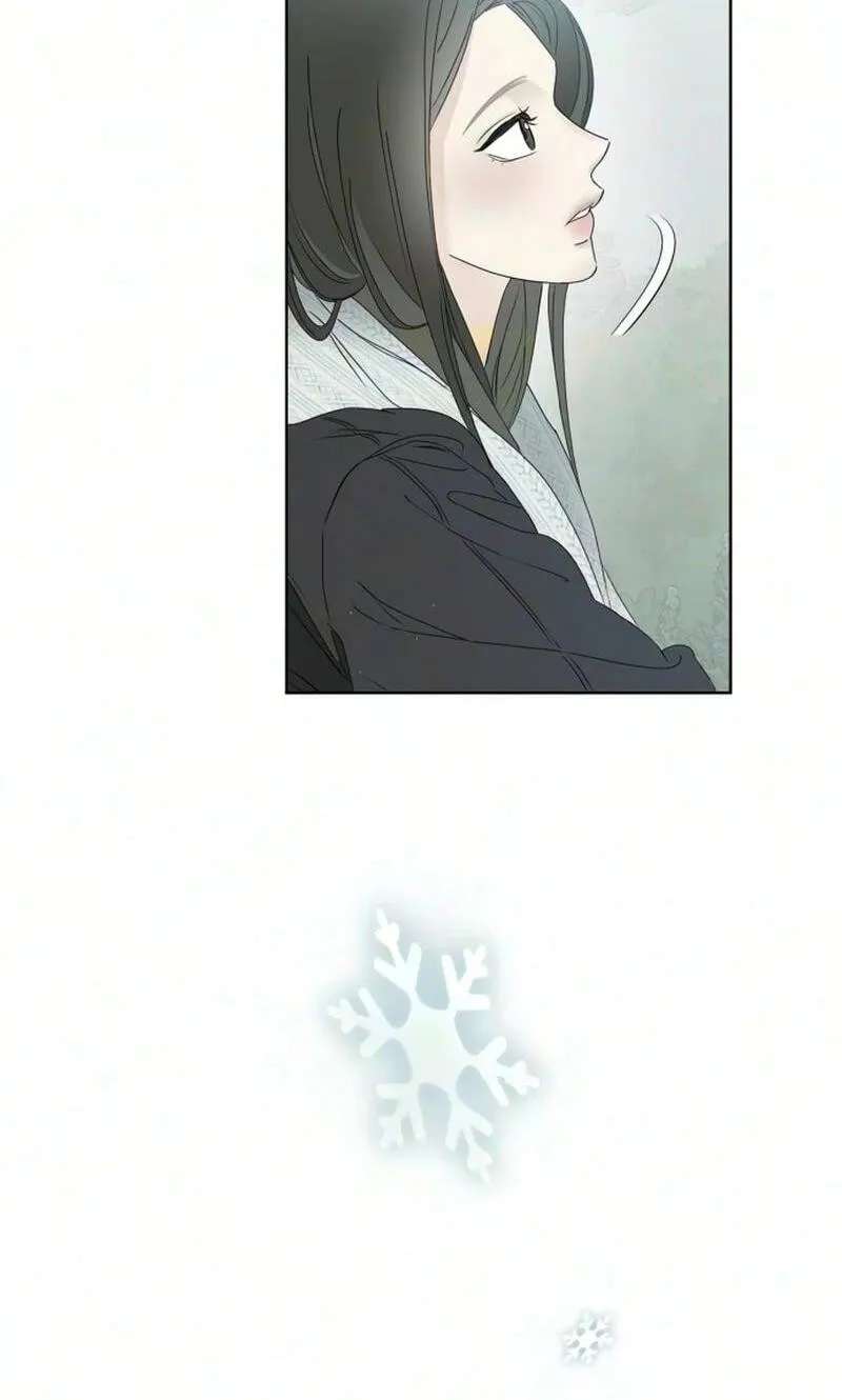 Marriage Subscription Lottery Chapter 15 - page 52