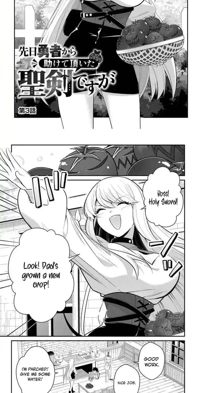 The Holy Sword That Was Helped by a Hero the Other Day Chapter 3.1 - page 3