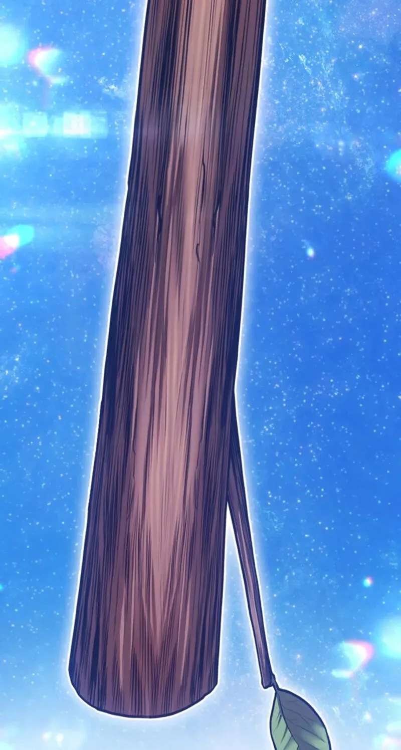 +99 Reinforced Wooden Stick Chapter 220 - page 255