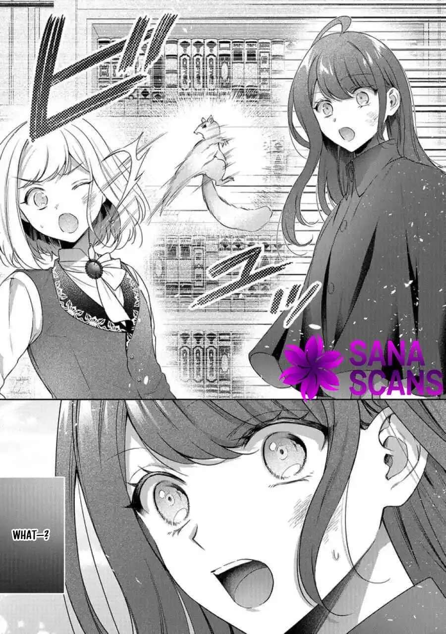 My Fiancé, Who Used to Hate Me, Turned into a Squirrel and Came to Me for Help. Chapter 6 - page 13
