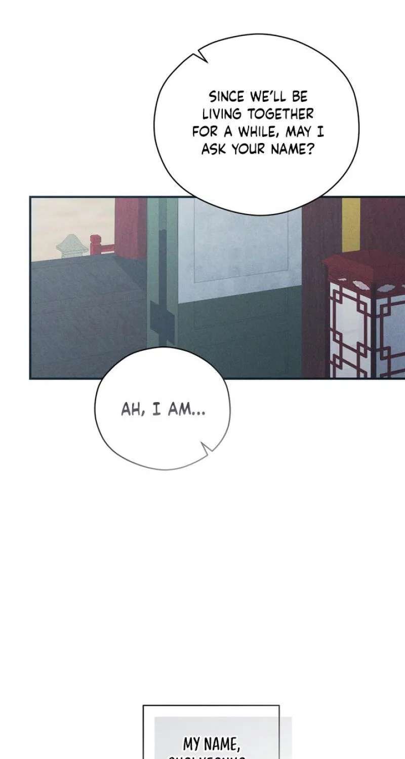 The Meaning of the White Pine Chapter 35 - page 50