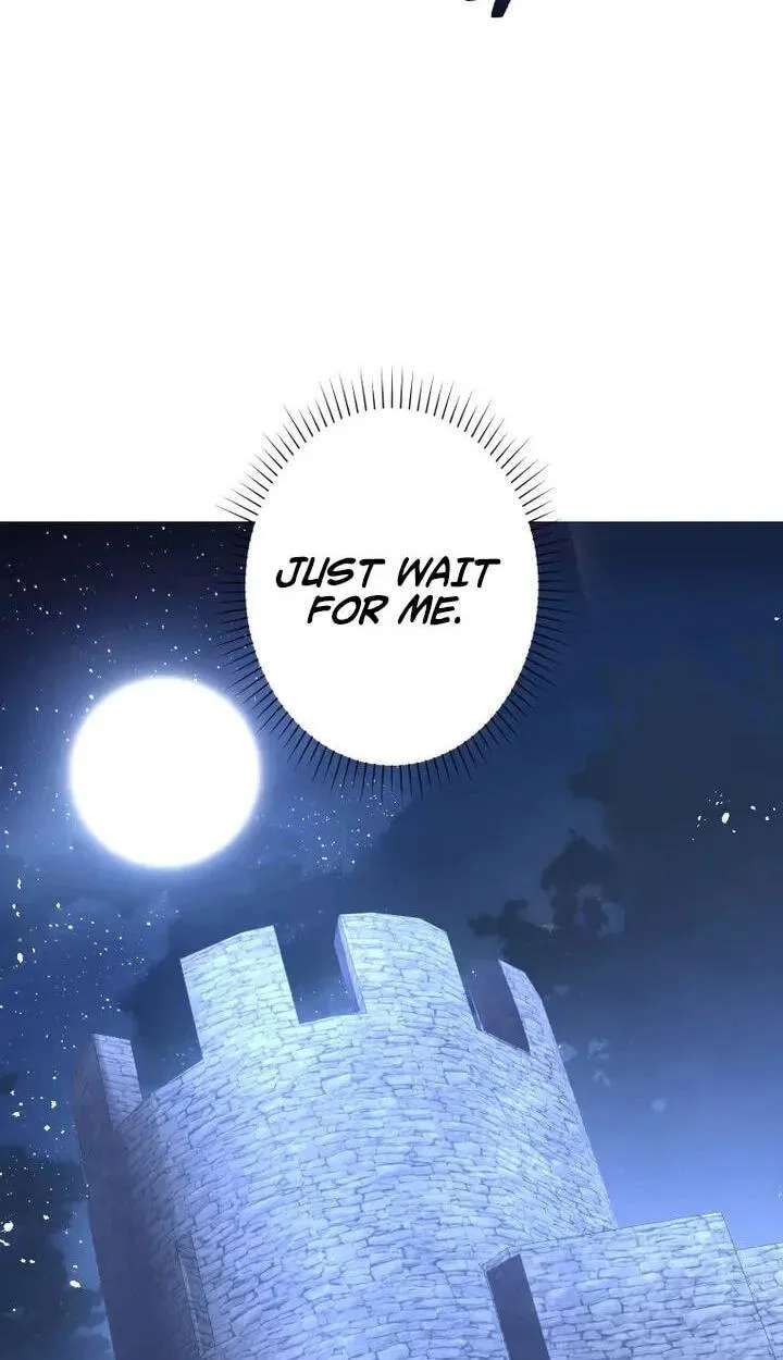 Nisemo no Koujo ni Shuuchakushi nai de Chapter 40 - page 97