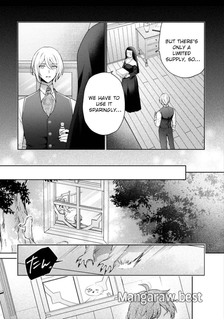 My Fiancé, Who Used to Hate Me, Turned into a Squirrel and Came to Me for Help. Chapter 4 - page 15
