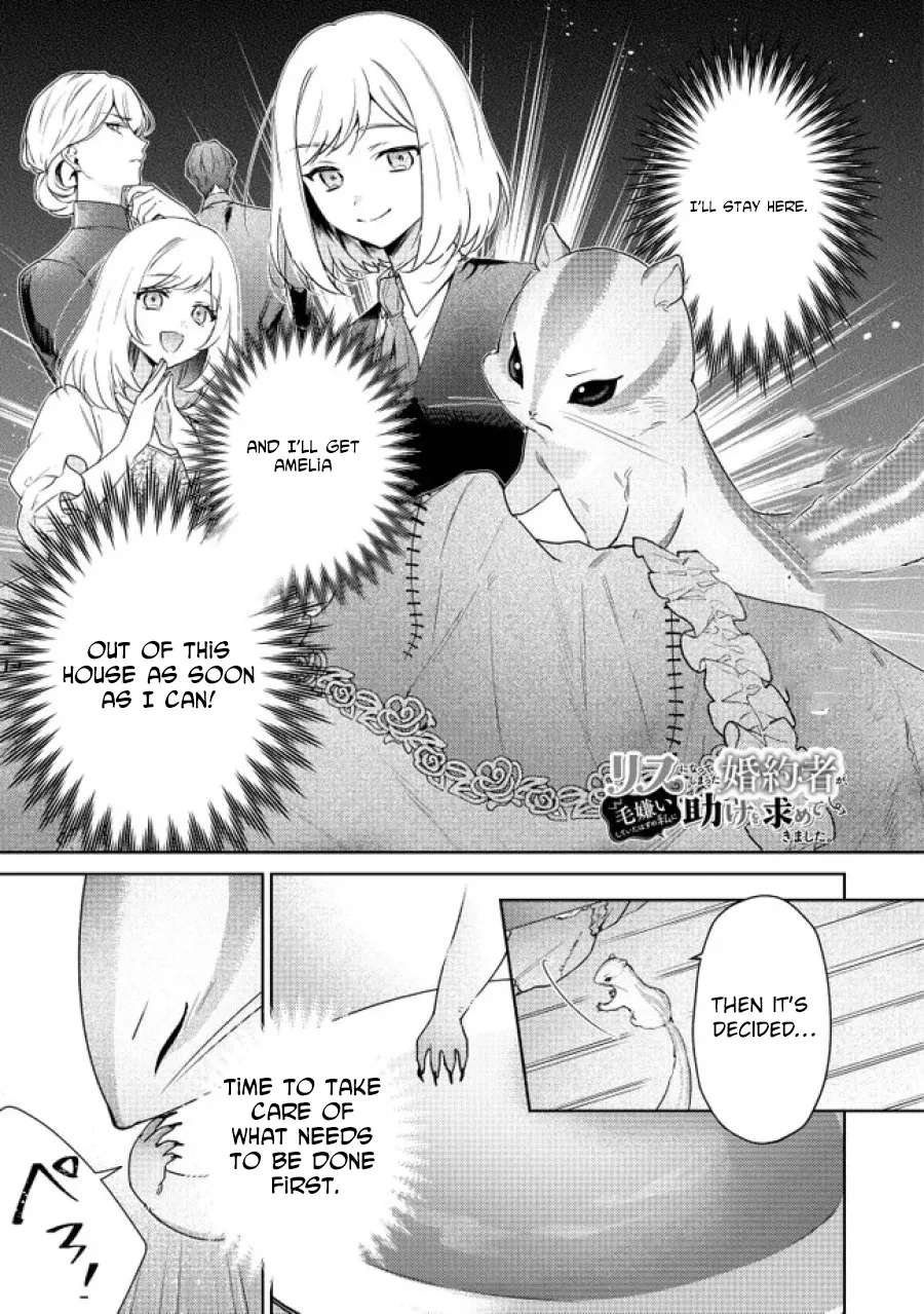 My Fiancé, Who Used to Hate Me, Turned into a Squirrel and Came to Me for Help. Chapter 4 - page 1