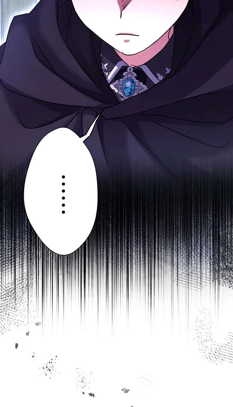 You Don't Mind If I Destroy This Kingdom, Right? The Pure White Saintess Vows Revenge Chapter 27 - page 102