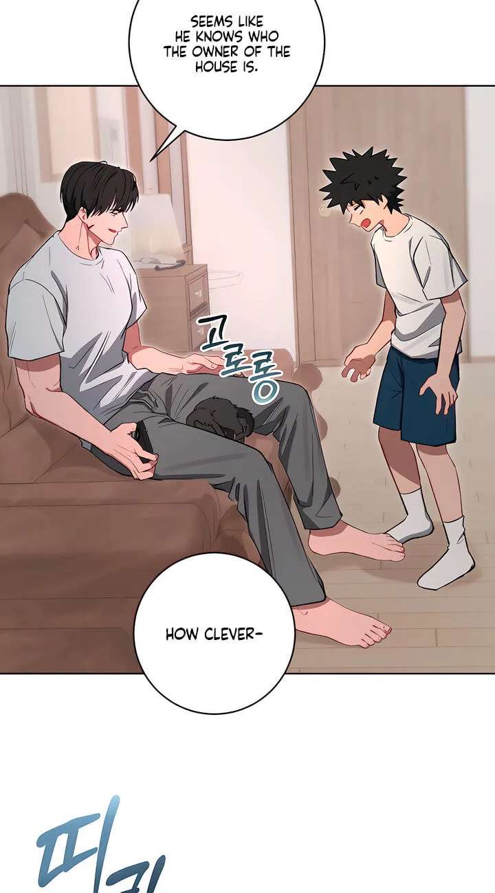 Dandelion Blues Chapter 12 - page 63