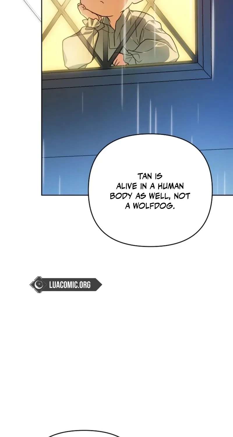 En Travesti: I Became a Fake Prince Chapter 29 - page 31